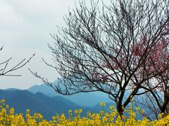 -石潭村
