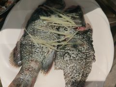 -青蓬蒸汽海鲜·深圳老字号·团建聚会(壹方城店)