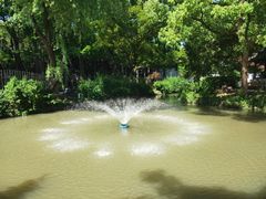 -上海醉白池公园