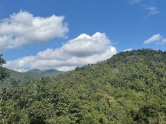 -野象谷景区