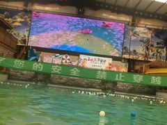 -南宫温泉水世界