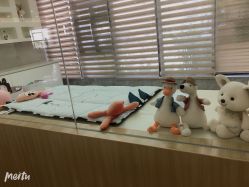 -宝生月子中心·独栋独院式(南山店)