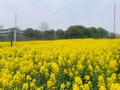 -传统菜农庄(皇姑路店)