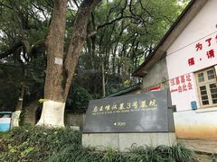 -马王堆汉墓遗址
