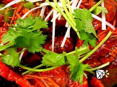 -虾弄弄海派小龙虾·牛羊蝎子火锅