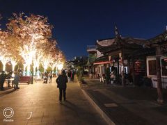 -三林塘老街