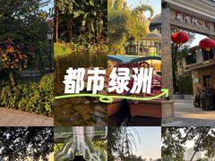 -荔湾湖公园