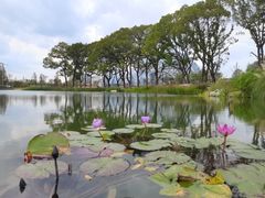 -上海植物园-4号门售票处