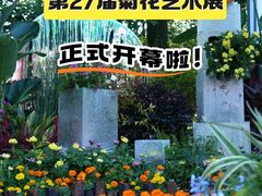 -南山植物园