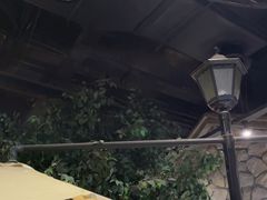 -毛家饭店(澳德乐店)