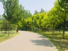 -东郊湿地公园