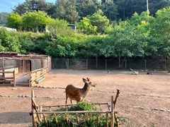 -北京山里寒舍度假酒店