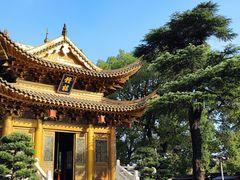 -上海东林寺(金山区)