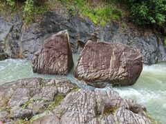 -广州白江湖森林公园