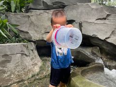 -成都市活水公园