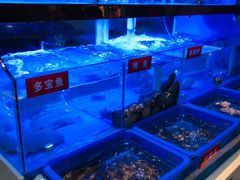 -小龍鳳·港式海鲜打边炉(沙湖路店)