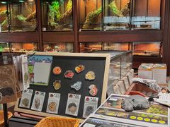 -帕帕拉兹宠物(亚洲旗舰店)