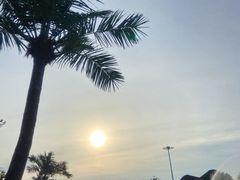 -苏州湾梦幻水世界