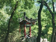 -莲湖公园