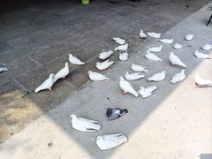 -威海华夏城景区