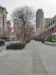 -Cindy Jewelry·钻戒·彩色宝石