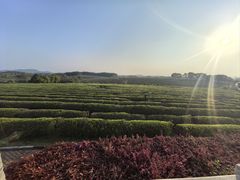 -凤凰沟景区