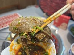 -渝大龙重庆火锅(温泉月亮湾店)