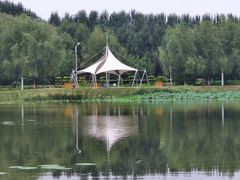 -吉林大学前卫校区南区-日新楼