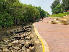 -宝安西湾红树林湿地公园