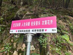 -黄山翡翠谷景区