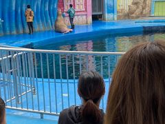 -华夏文旅海洋公园