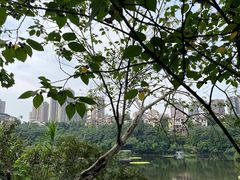 -重庆彩云湖湿地公园