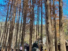 -国家植物园南园