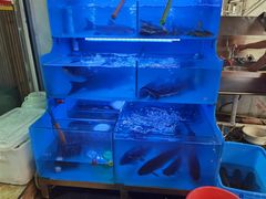 -韩妹鱼庄·泸定老字号(泸定店)
