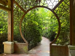 -铁山坪森林公园