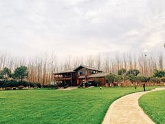 -合肥滨湖国家森林公园