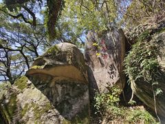 -青芝山风景名胜区