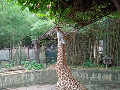 -长鹿旅游休博园