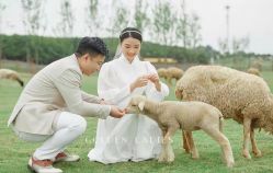 -金夫人婚纱摄影