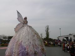 -荷兰花海