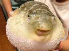 -永安鱼庄·镇江菜(东吴路店)