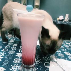 B5GQZdT4G3QxjsFmHzSSuO2ocdz02mK2dw8n_lotWneFN349ZUxhqLaffVW3JiaVuzFvxlbkWx5uwqY2qcjixFEuLYk00OmSS1IdNpm8K8sG4JN9RIm2mTKcbLtc2o2vfCF2ubeXzk49OsGrXt_KYDCngOyCwZK-s3fqawWswzk.jpg