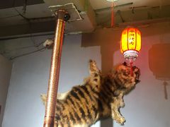 -水浒烤肉(国贸店)