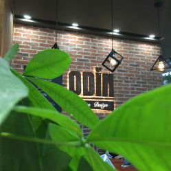 -ODIN 奥丁形象设计 