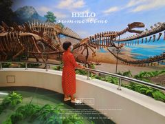 -延庆地质公园博物馆