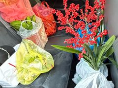 -龙大花卉苗木市场