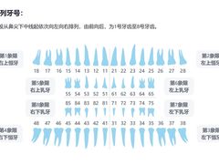 -爱齿尔口腔美学种植中心(永清院)