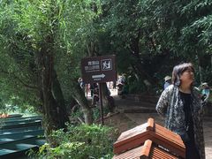 -普者黑风景区-青龙山