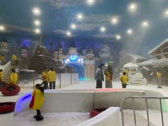 -世界之窗阿尔卑斯冰雪世界