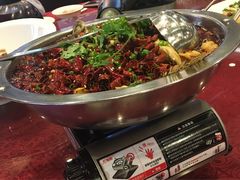 -百香自助餐厅·西安唐隆国际酒店(曲江店)